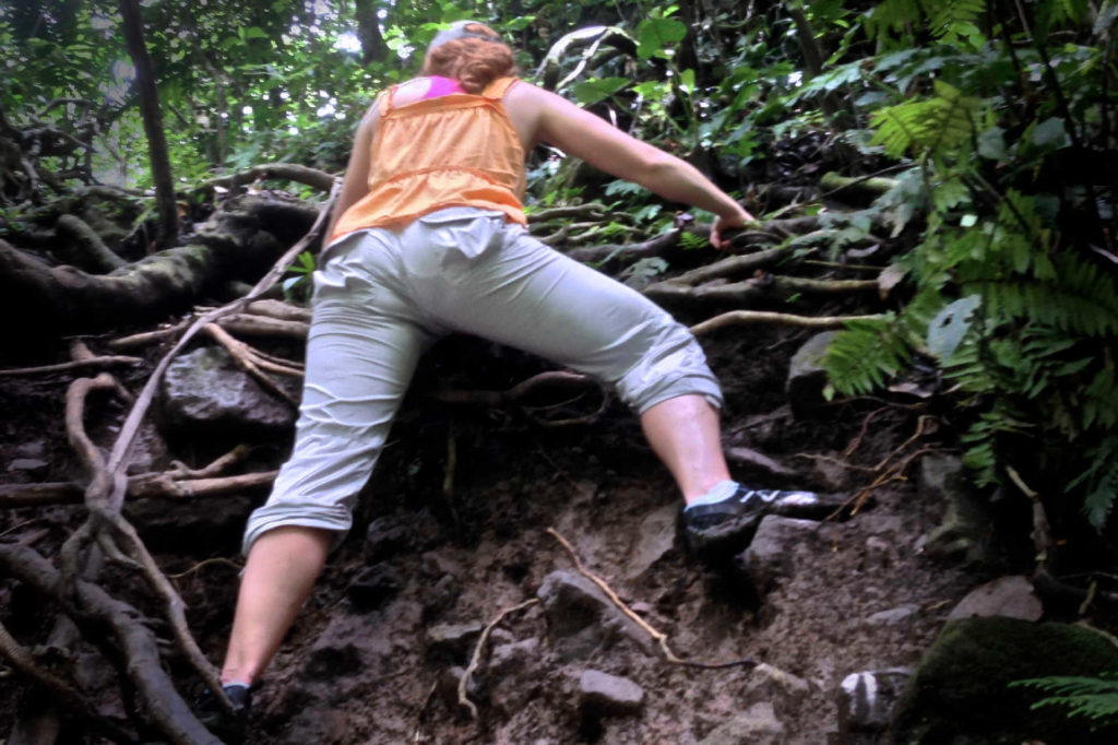 Jenni climbing the canopy's roots going up Nevis' volcano.