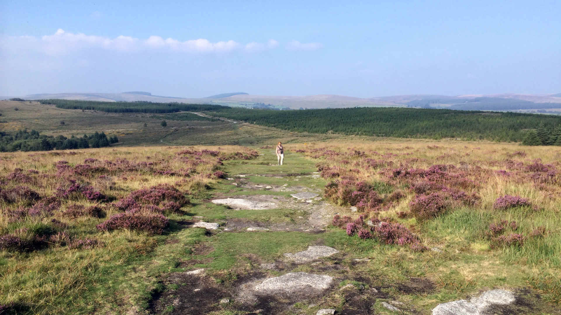 We highly recommend England's national parks: Dartmoor and Exmoor for their stunning views and serene walks.