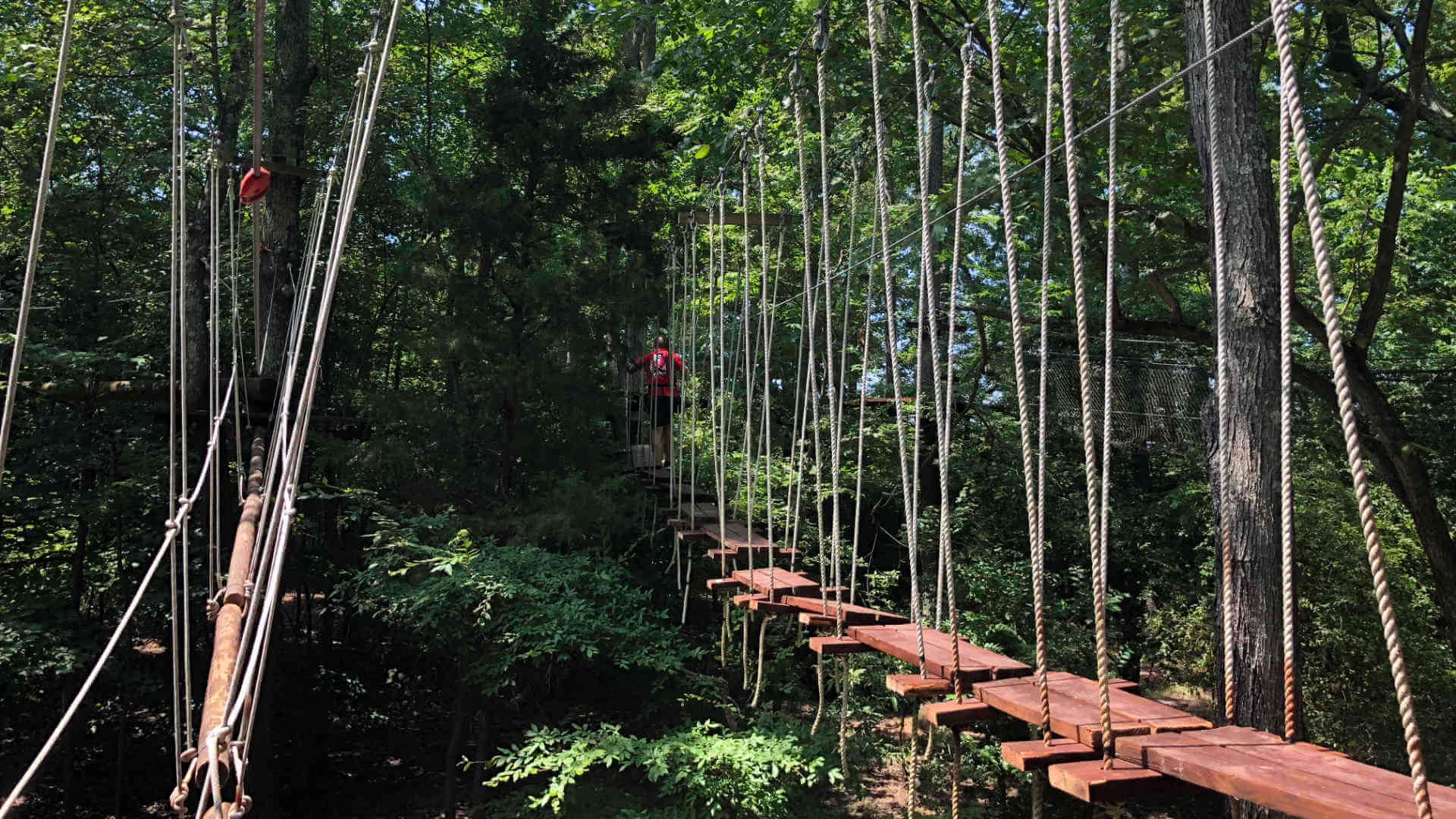 A section of the ropes course we visited during our staycation around Virginia.