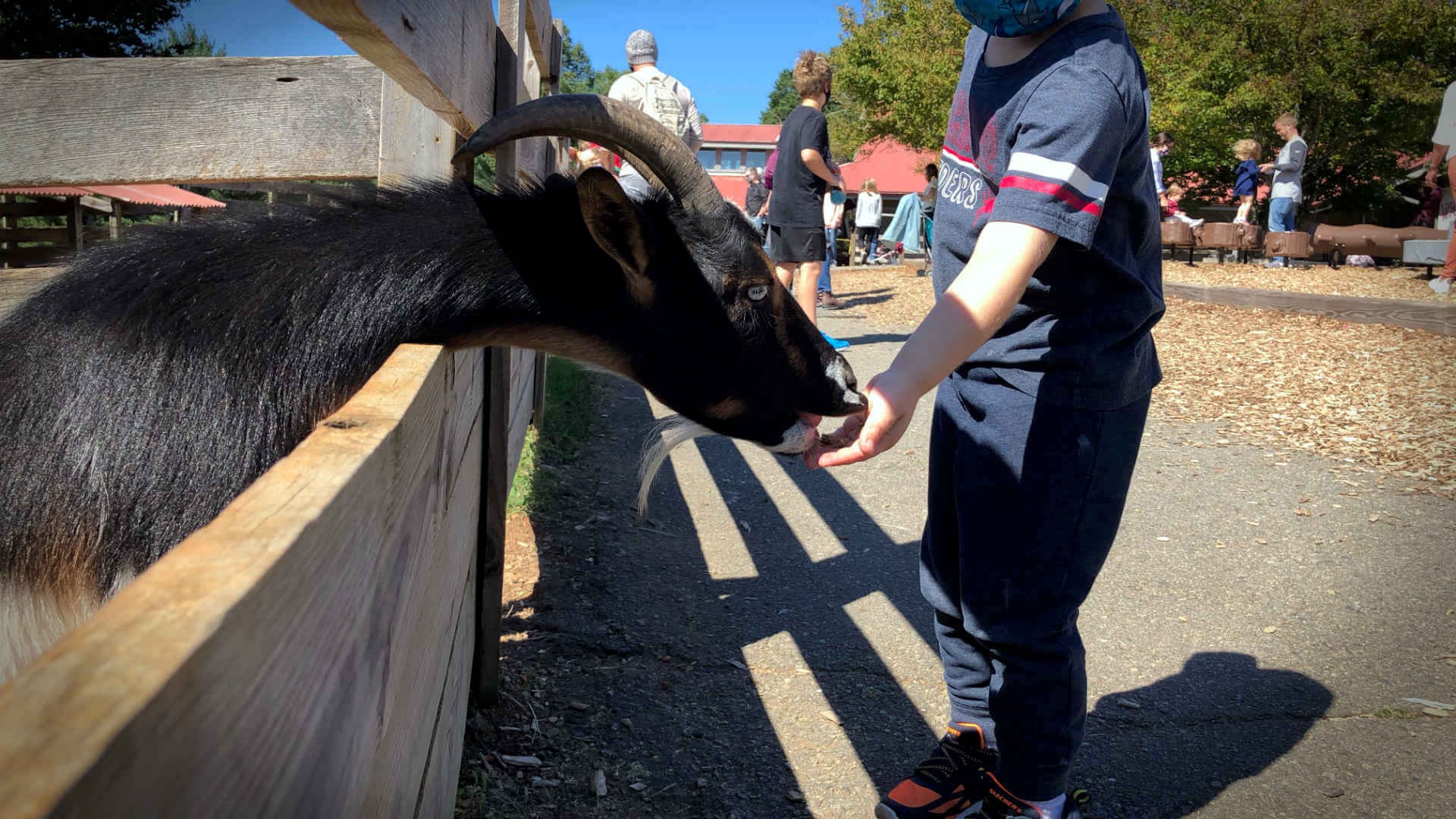 While we didn't find time to travel far this month, we did go on little outings around VA and take the nephews out. Great weather and a little fun with the farm animals! Don't worry, this goat didn't eat our picnic.