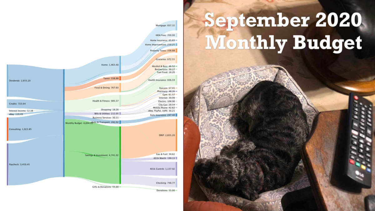 Our September 2020 Monthly FIRE Budget reveals all our spending details and sets out a donation goal for animal shelters in VA.