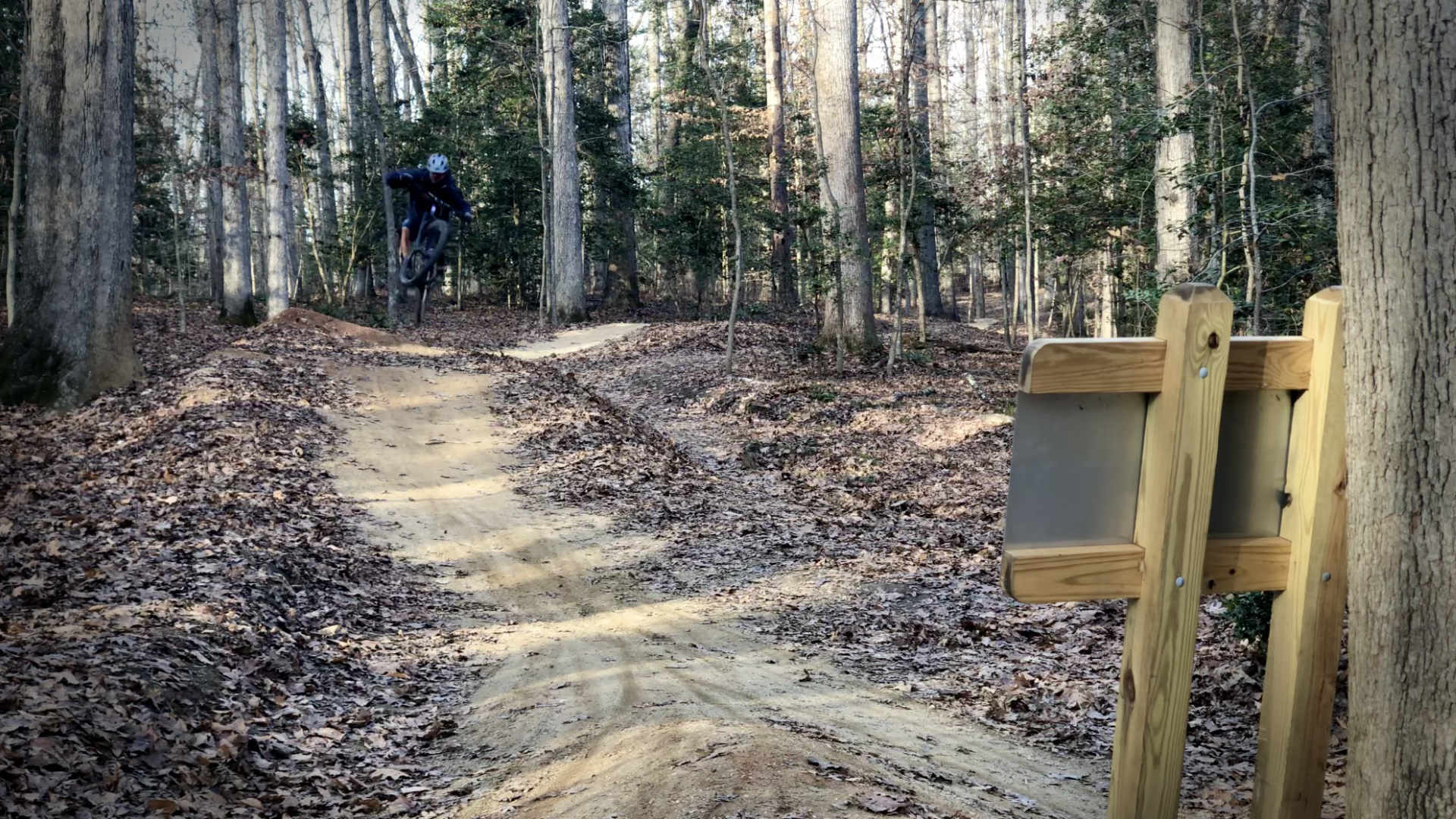 New shoes means more hiking, running, and biking ahead! We had fun riding MTB trails this month!