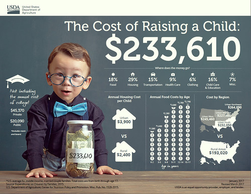 From the USDA's "Expenditures on Children By Families, 2015".