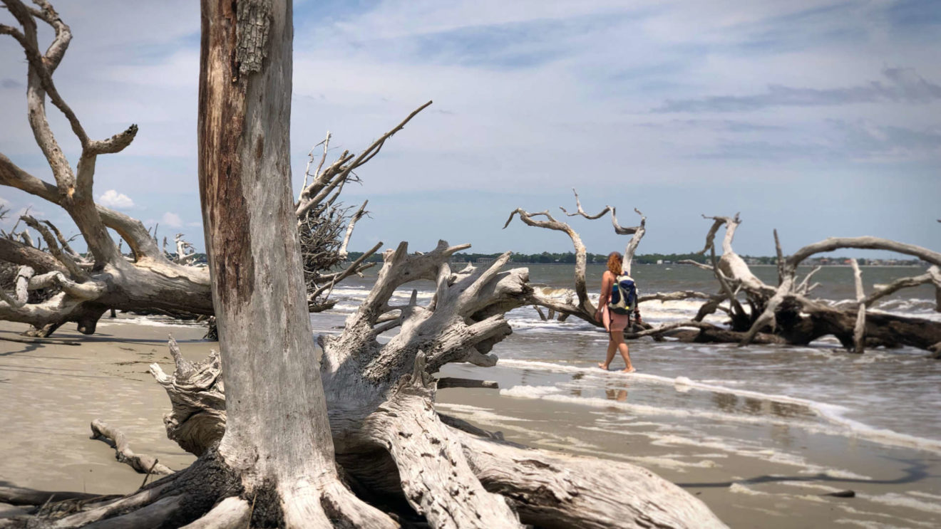 Taking a moment to remember the world outside our pandemic bubble—here enjoying Driftwood Beach on Jekyll Island, GA.
