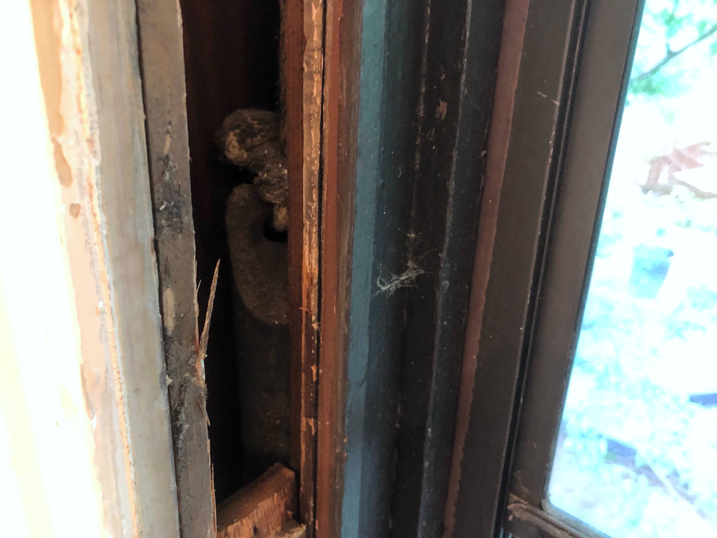 This is the hidden pocket inside a window frame where the window weight resides along with the broken sash cord which we're replacing!