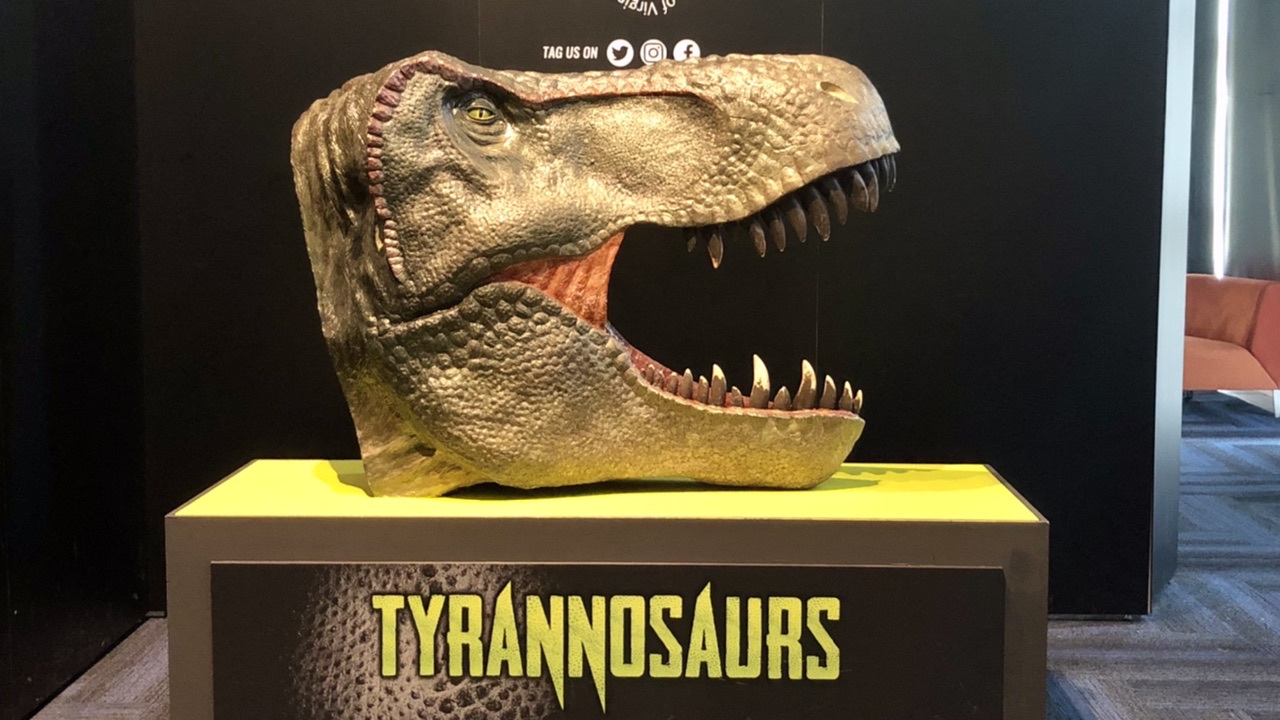 Tyrannosaurs were the focus of the dinosaur exhibit at our local science museum!