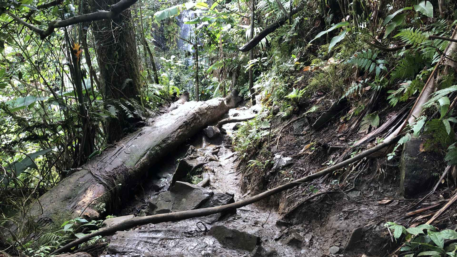 There's a cost to reaching that waterfall in the background -- this hike!