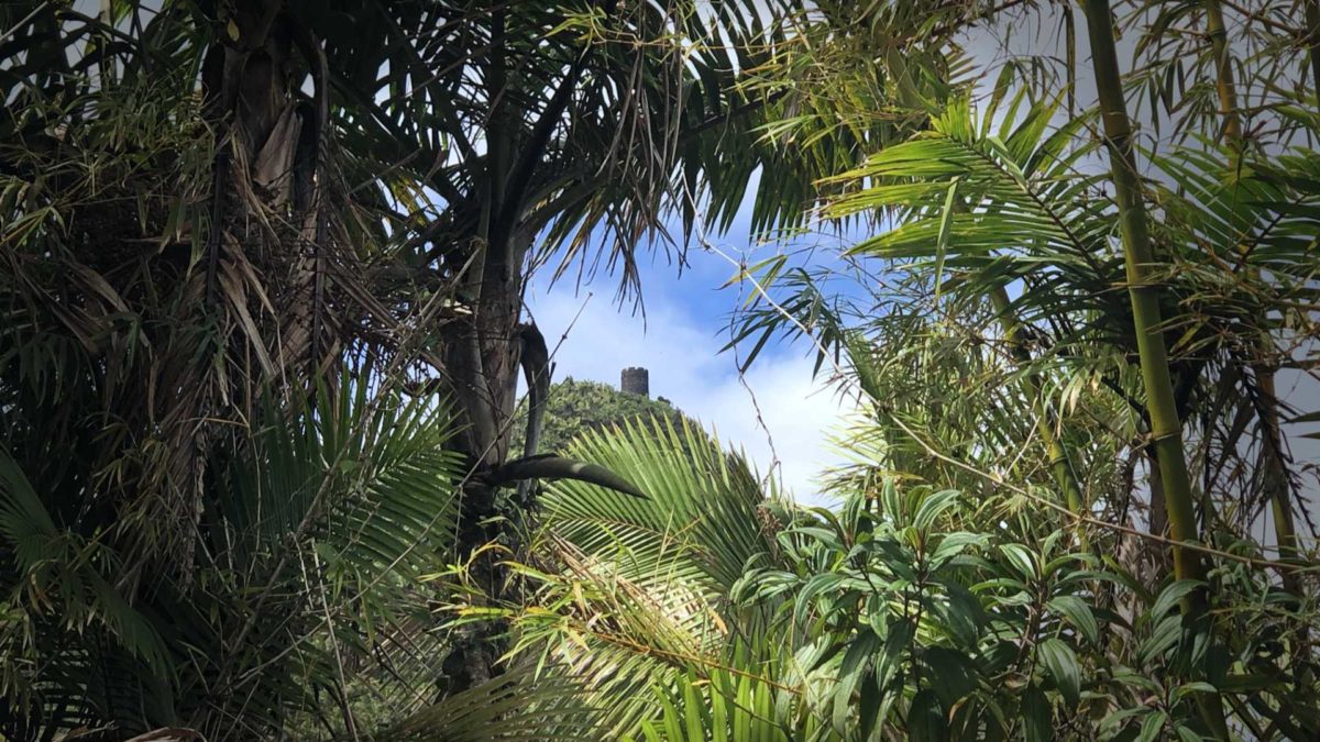 Puerto Rico's Mt. Britton in El Yunque National Forest as seen from the start of our hike!