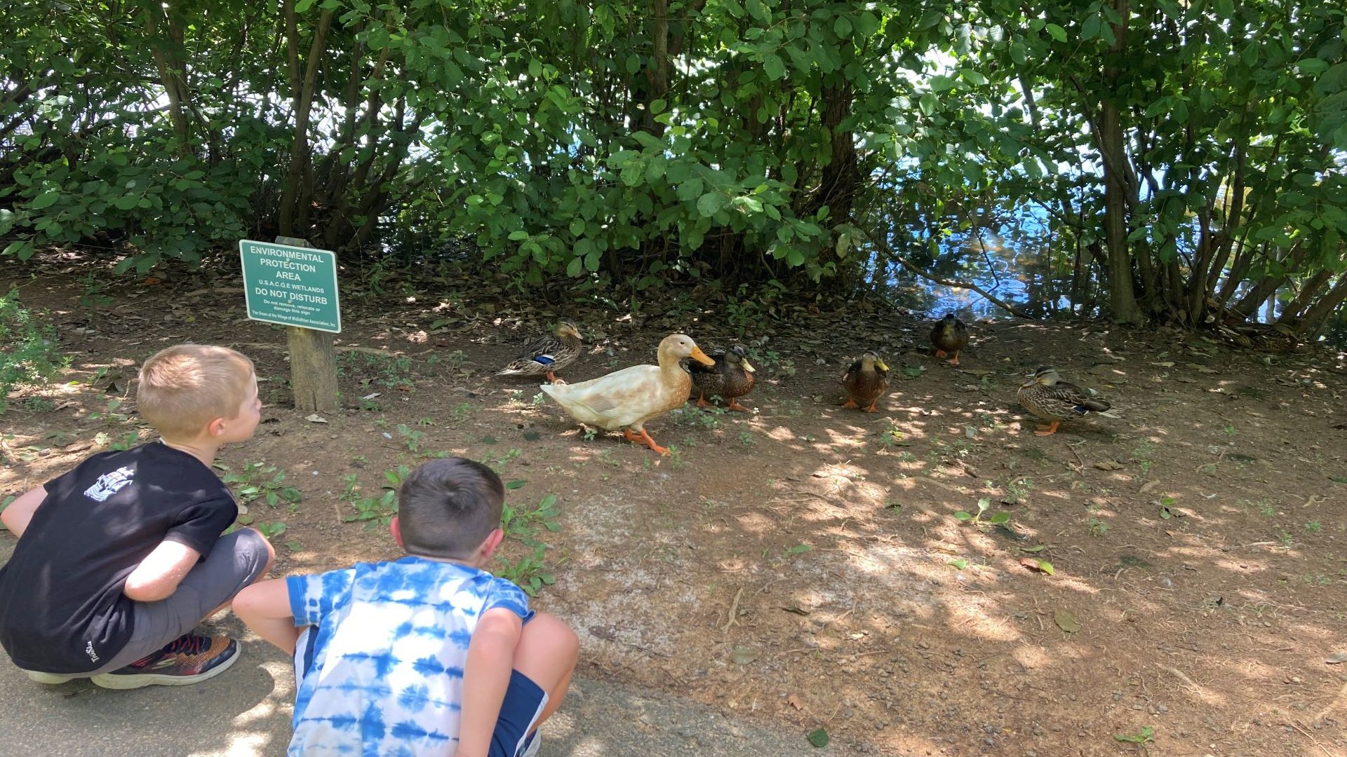 Despite the heavy workload in August, we found time to take family walks in the park, enjoying all that nature has to offer.