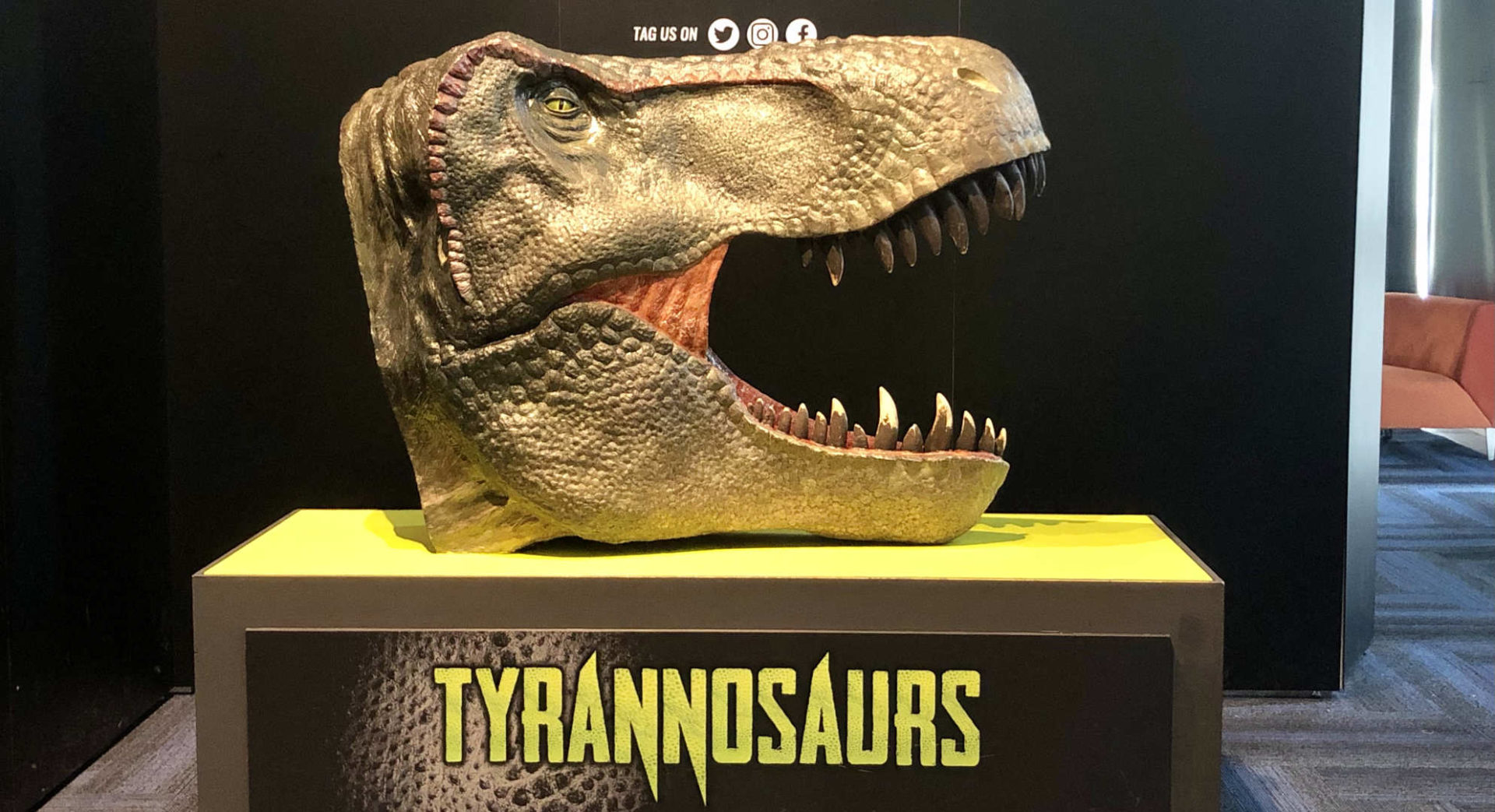 A little education, and a little fun—special exhibits like this Tyrannosaurs can be made less costly when you can visit midday during the week!
