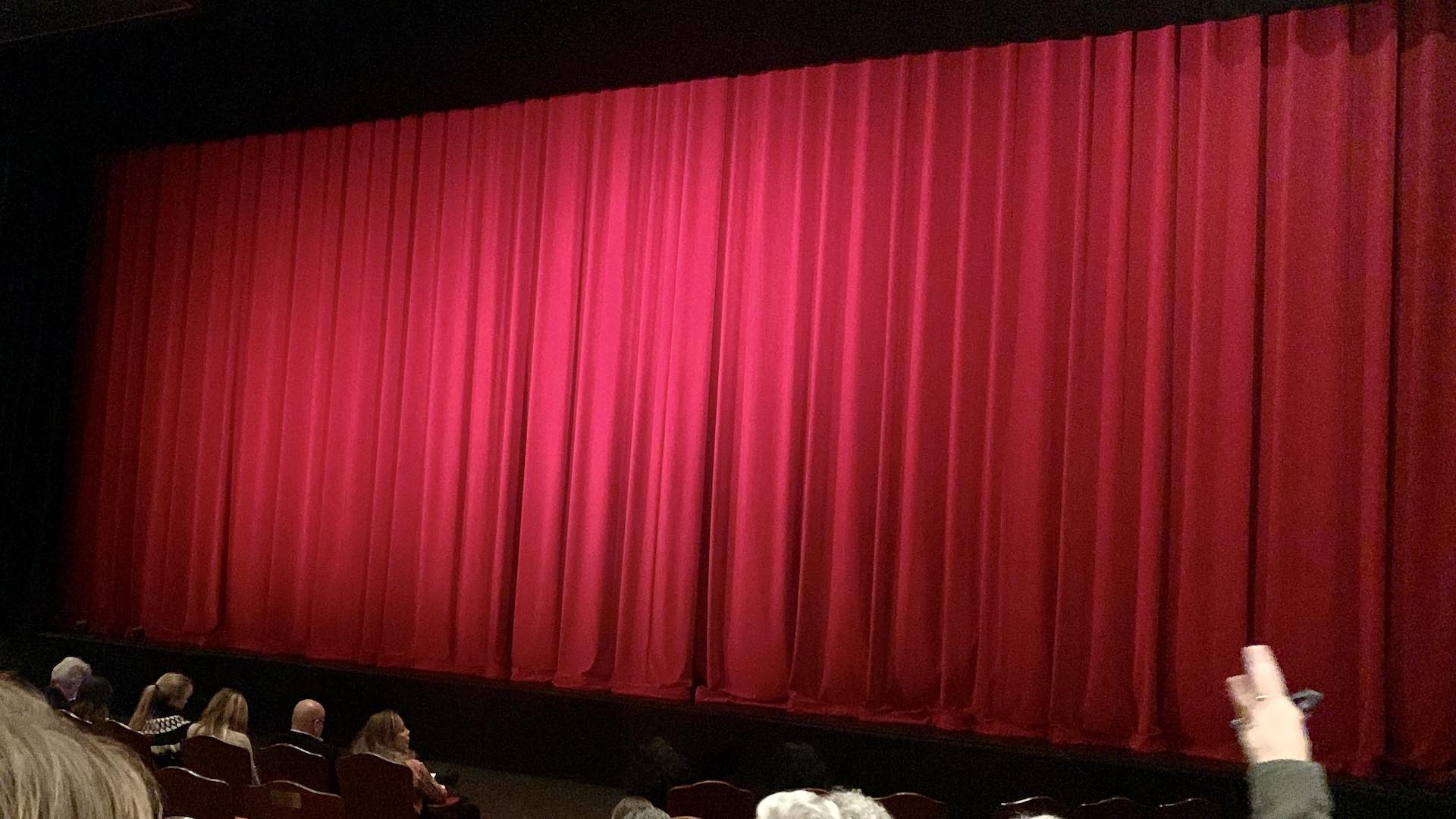 By the end of the month, we were both feeling good again and ready to begin the spring theater season! Our local university put on a dance performance—featuring a friend of ours—to kickoff the season.