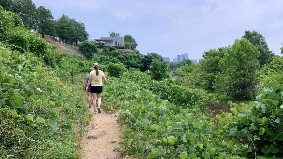 A very green June along the James River hiking with friends.