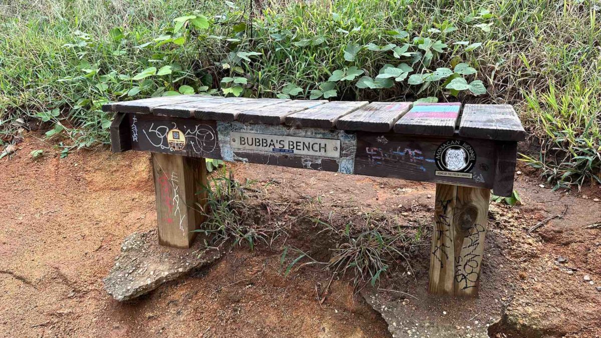 The trailside bench where it happened—our FIRE engagement started!