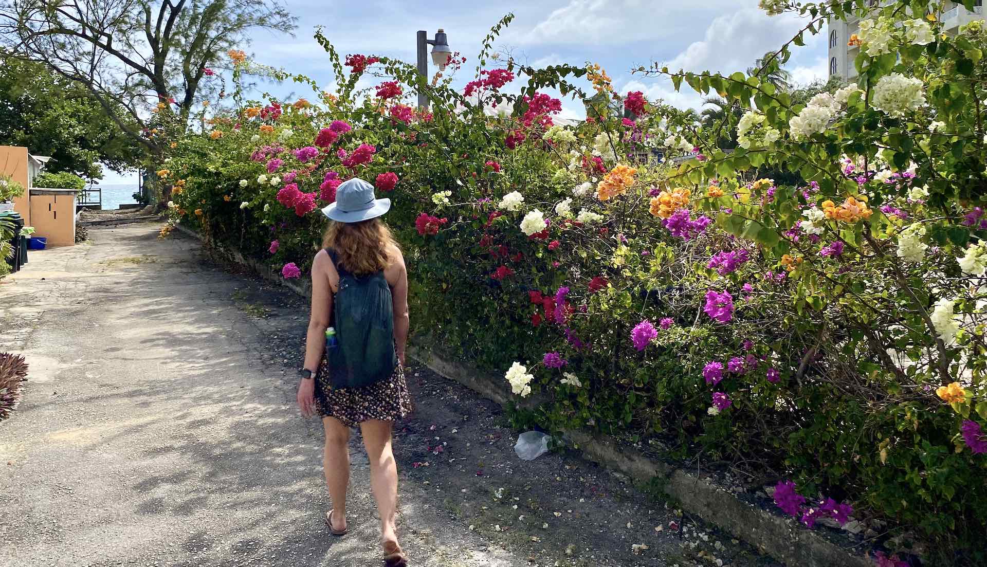 A flowery walk to a quiet beach. Not a bad way to spend a February afternoon!