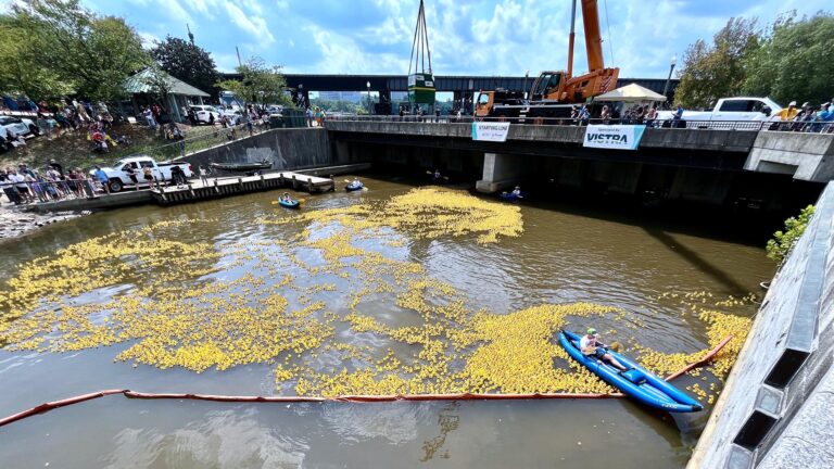One of our many fun, free events in September—a charity "duck race" downtown. Put a few bucks on a specific duck to win the run down the canal, win a big prize. Proceeds benefit the charity. Neat idea!