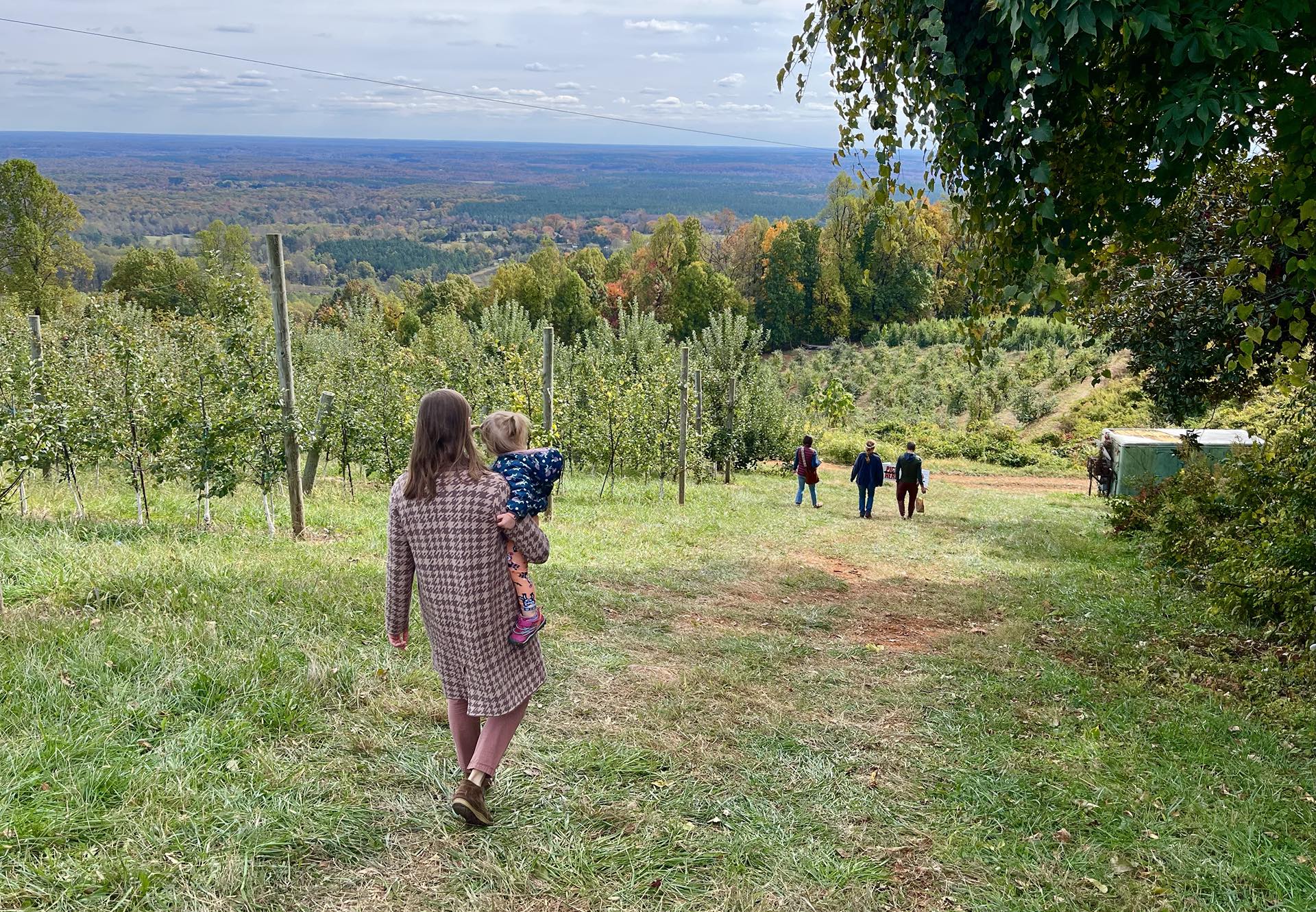 Just a little mountain orchard walk with friends in autumn! Beautiful and fun.