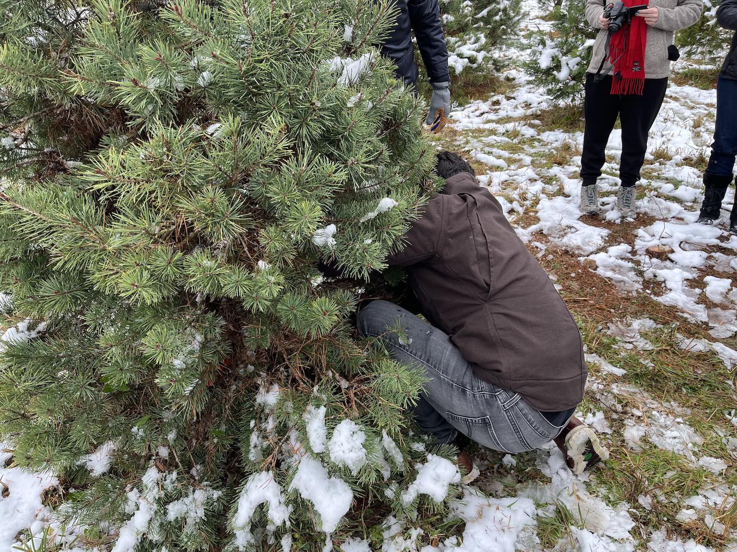 We managed to make it back in time for Christmas in Virginia and celebrated with Jenni's family—complete with a fresh cut tree!