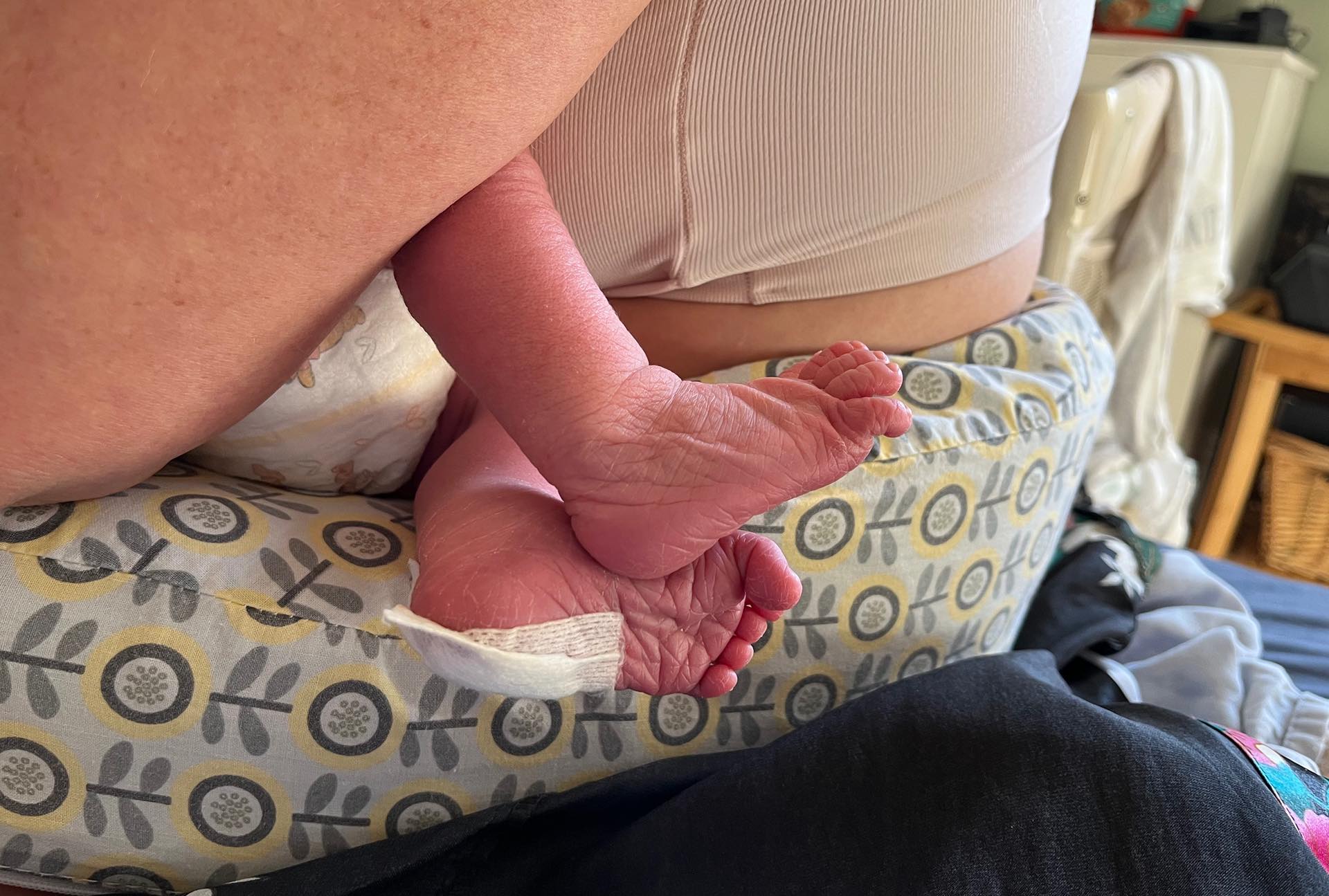 Little Lukas feet with the bandage still on after the blood sample was taken for DNA checks. Still so fresh here!