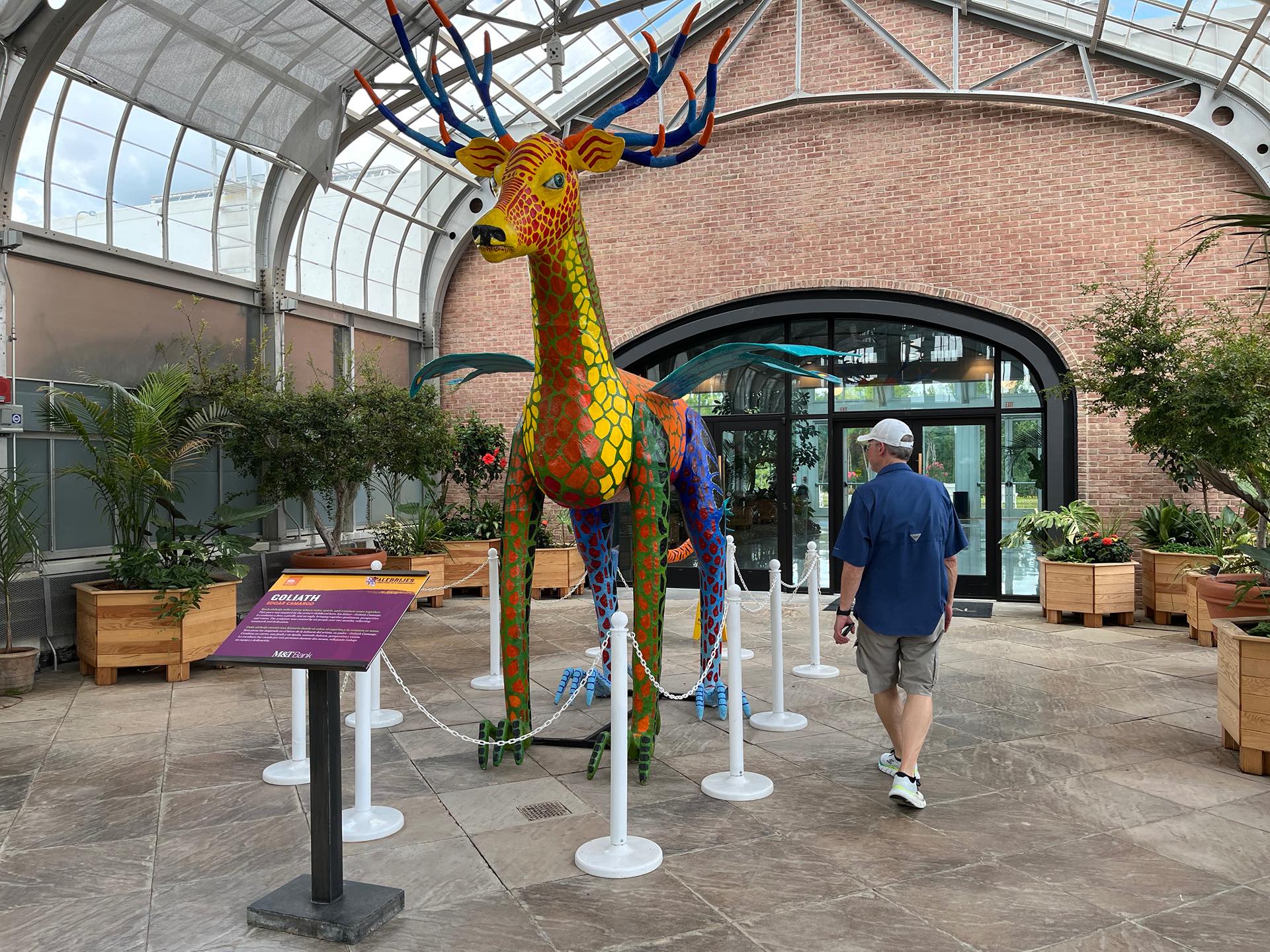 Lewis Ginter botanical gardens always makes for a lovely visit with folks out of town. Lukas got to experience butterflies for the first time and did seem to track them pretty well!