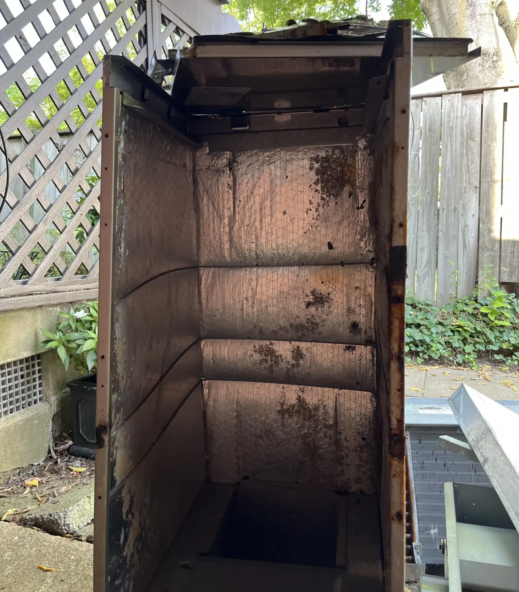 The HVAC air handler cabinet, moldy.